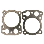 Wfcyq 12-041-10-S Cylinder Head Gasket Compatible With Kohler 1204110S Grey New. Price: $20.50.